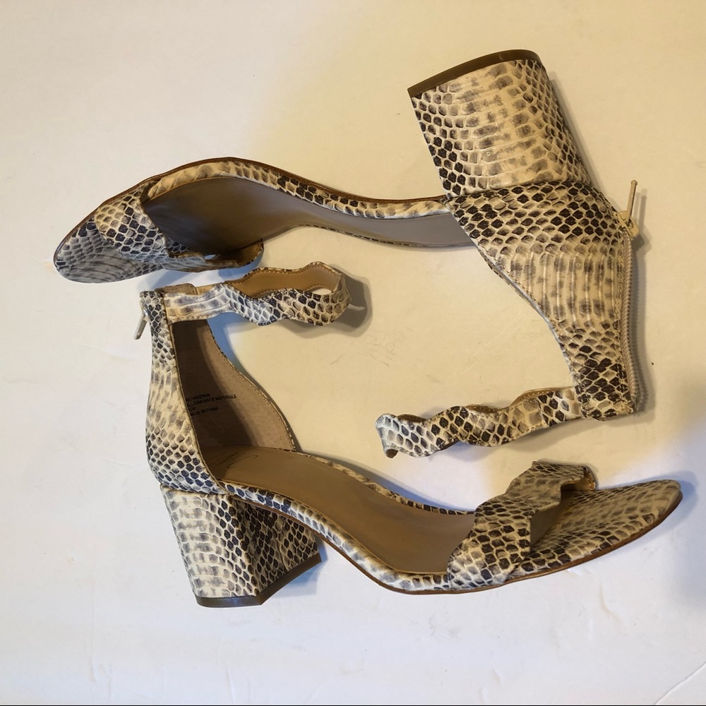 Snake Scallops Block Heel Snake Print Block Heel … - image 5